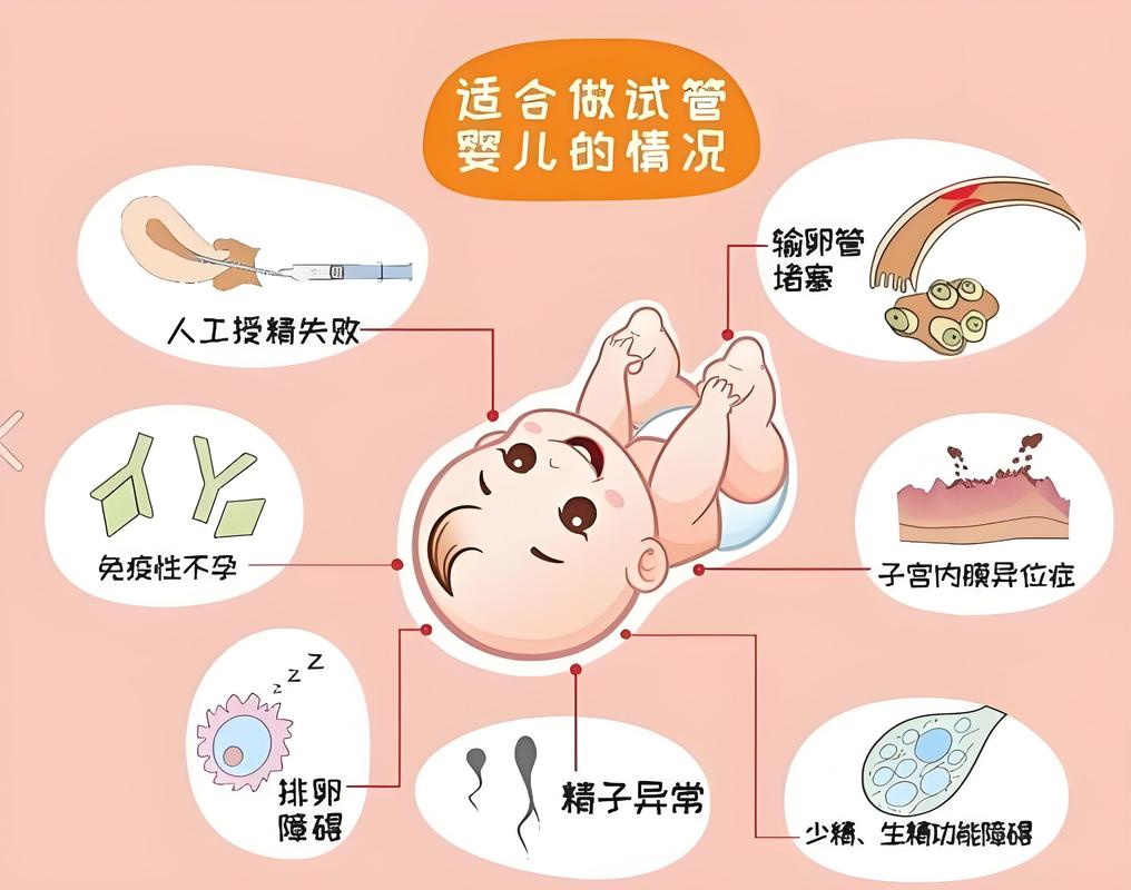 长沙试管婴儿科普干货 从检查到移植一篇看懂