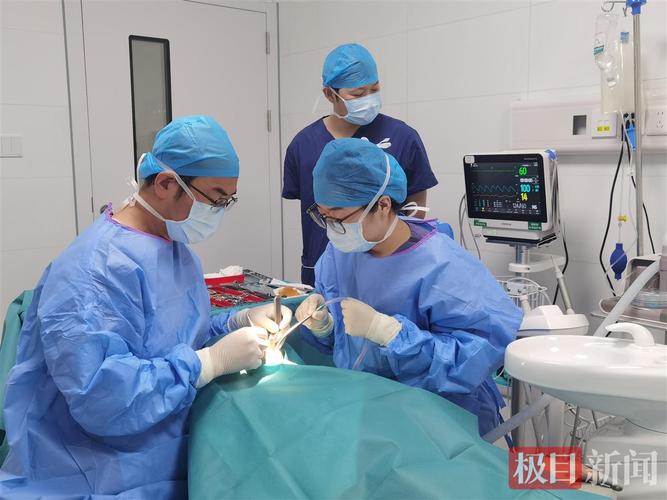 长沙90岁老人种牙行不行 医生说了大实话