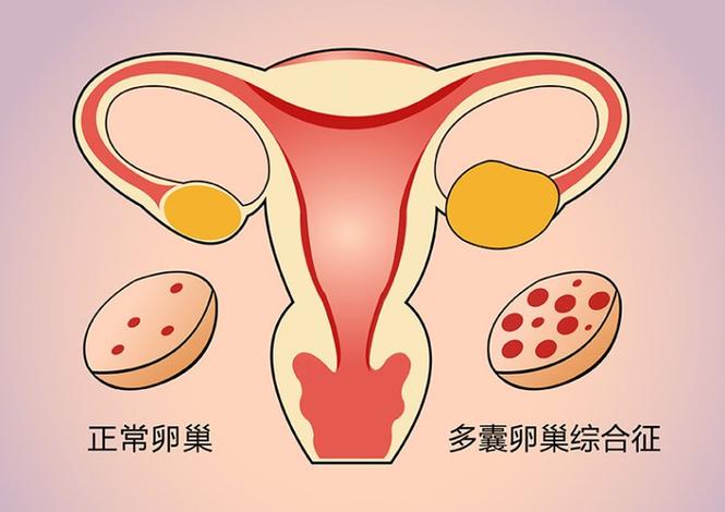 三带试管费用多少钱呢_试管费用大概要多少钱左右呢_试管费用清单