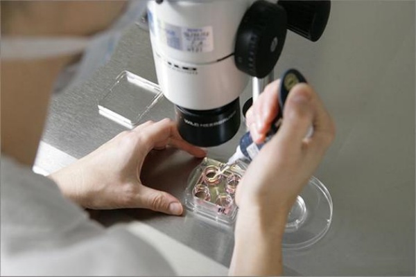 三代试管遗传病检测结果怎么看_试管阻断遗传病实例_试管三代可以排除哪些遗传病