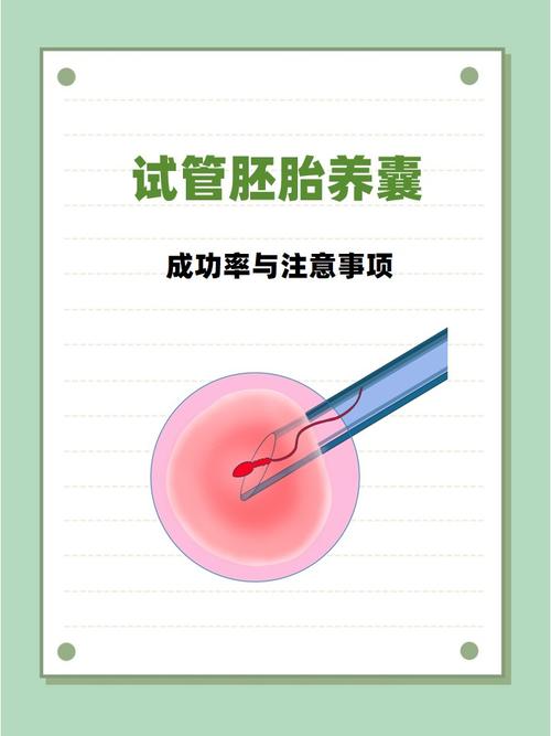 长沙囊胚培养是什么？试管成功的关键一步