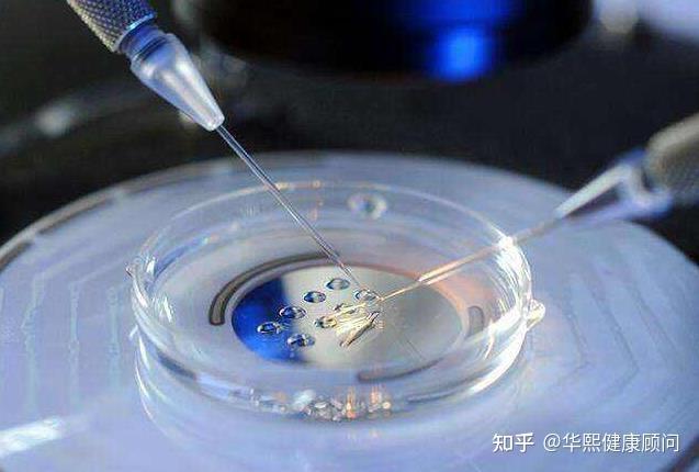 上海试管婴儿费用_上海婴儿试管攻略_上海试管婴儿费用 2026 8-15 万参考