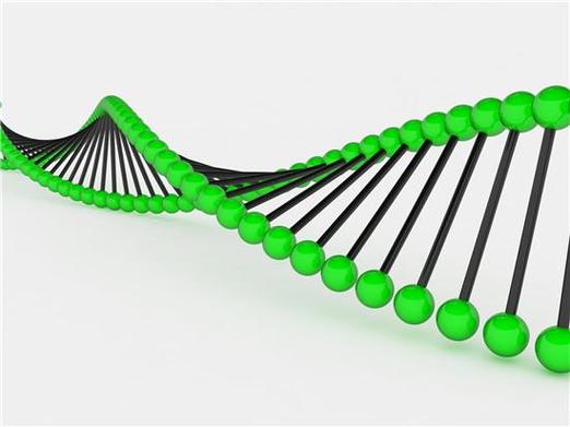 长沙三代试管可以筛选基因吗？能查哪些遗传病、具体咋筛讲明白